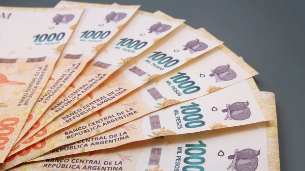Ya es oficial el pago de un bono de 20 mil pesos para desempleados ...